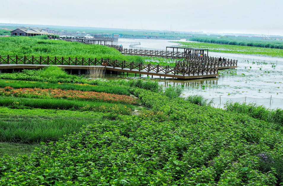 河北省首个滨海湿地生态系统立体原