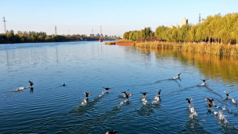 去年河北省水生态环境达近年来最好
