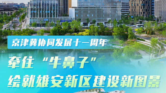京津冀协同发展十一周年丨牵住“牛