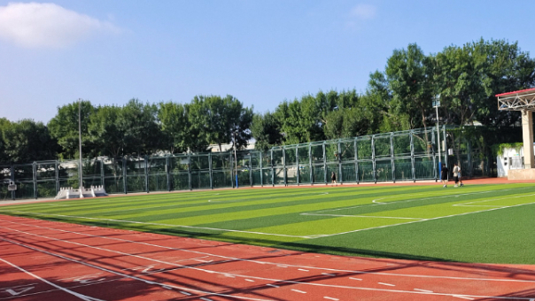 多措并举“育新苗” 沧州“十四五