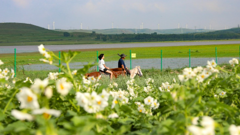 张家口：全域治理厚植生态优势 筑